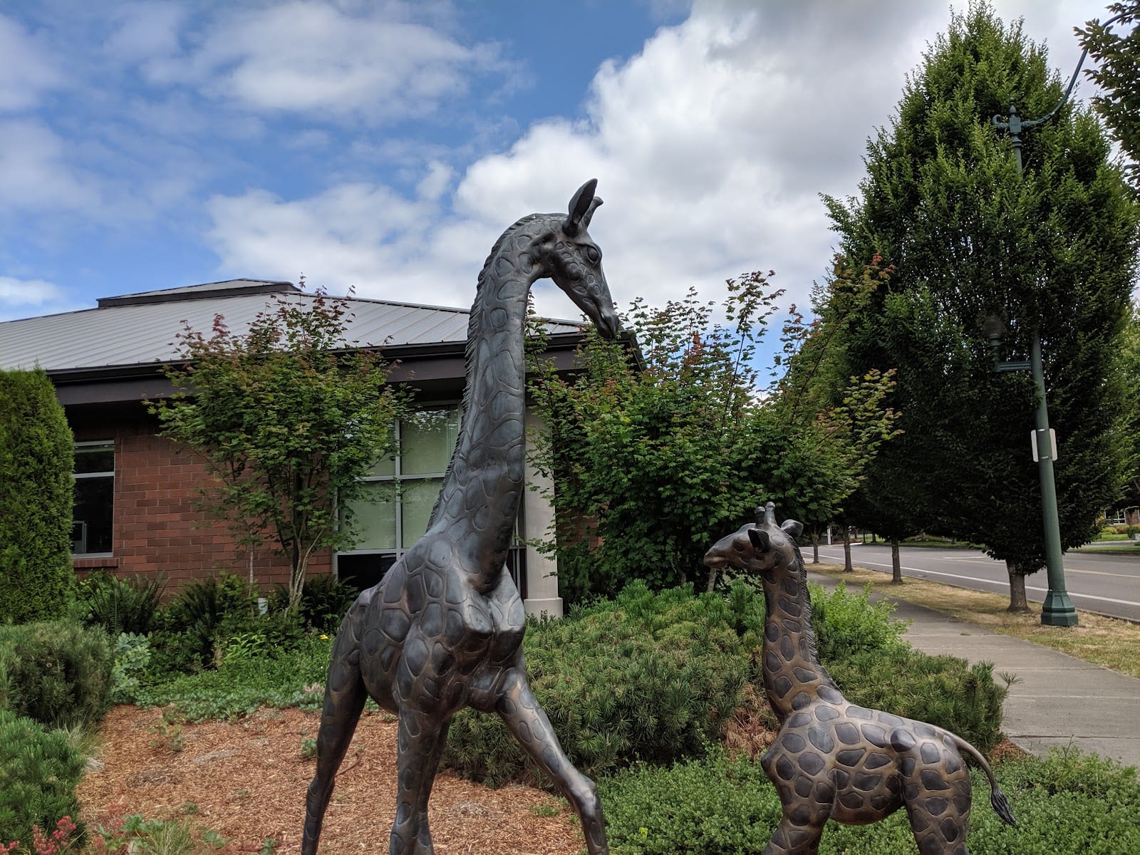 Olympia Pediatrics, PLLC, photo 3