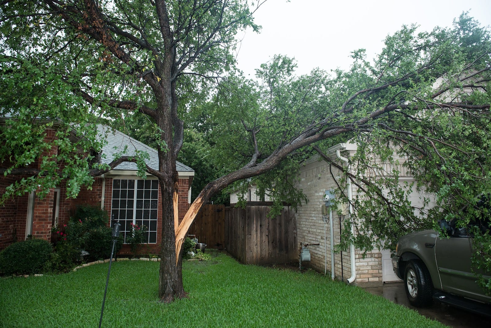 Baker Landscape & Tree Services, photo 2