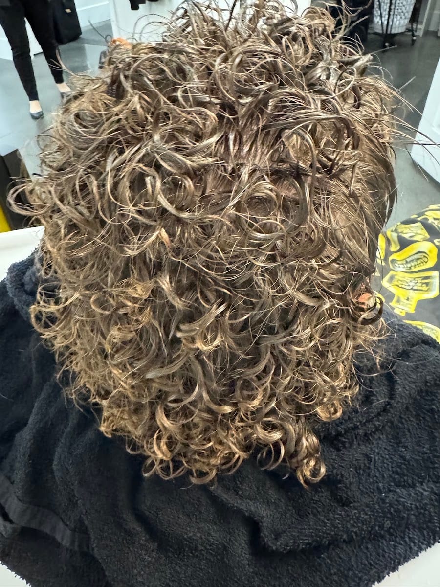 Hair Social Salon, photo 4