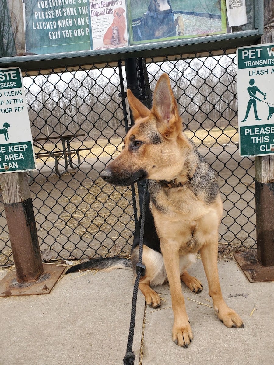 Pawster Park (Pay Access)
