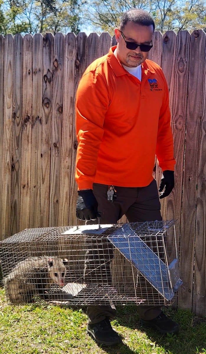 Best Source Pest Control