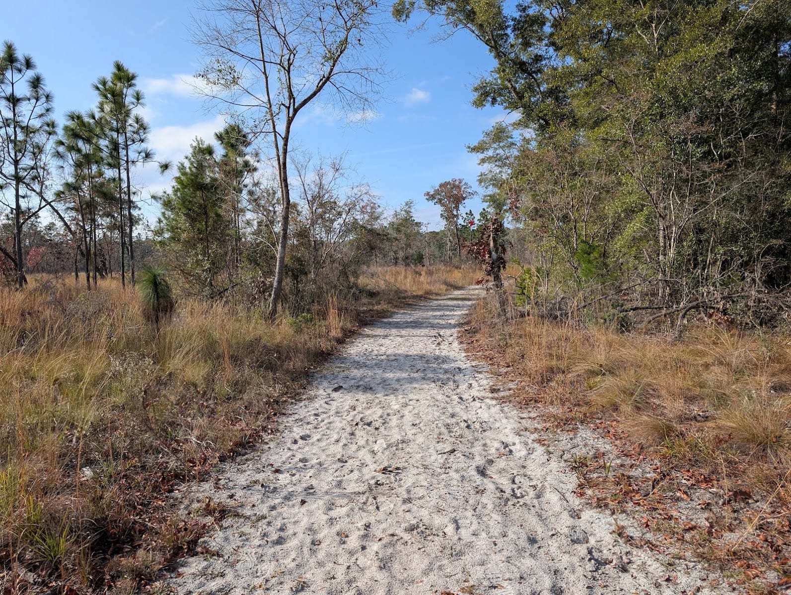 Black Creek Ravines Conservation Area, photo 4