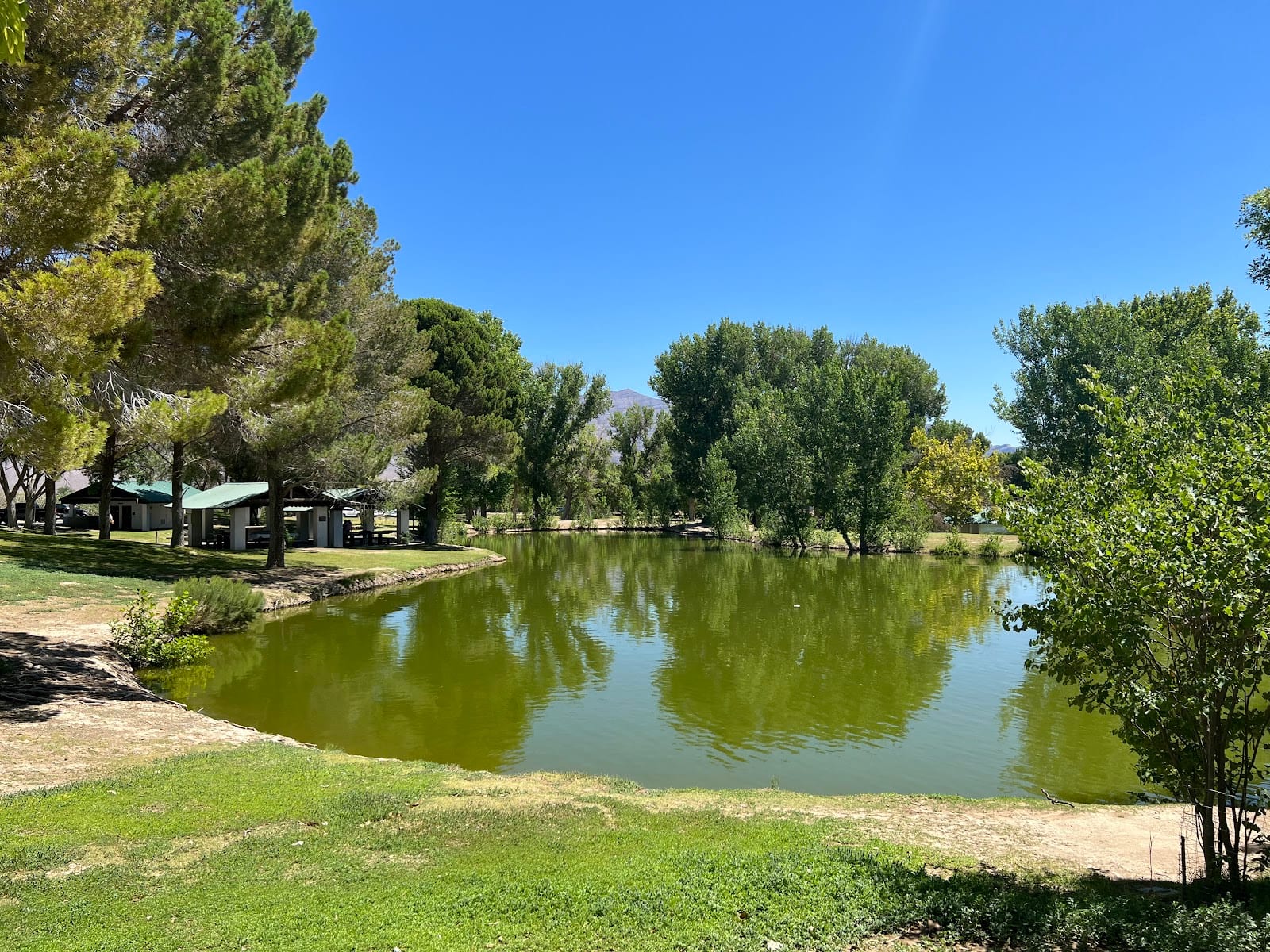 Floyd Lamb Park