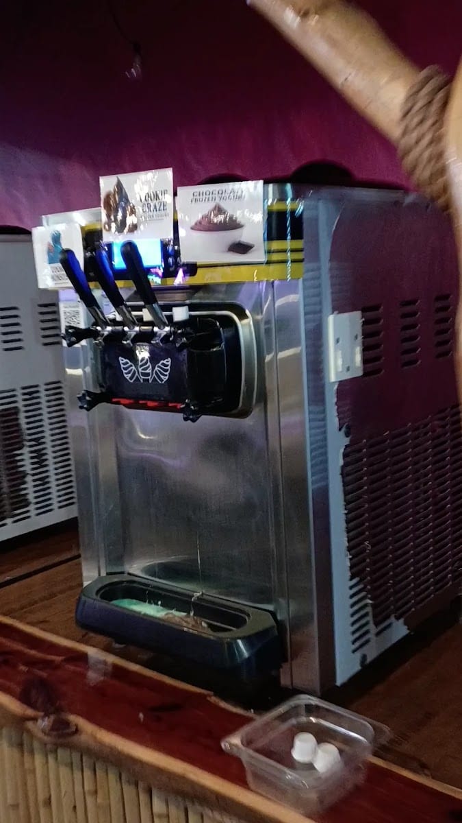 Spoon it! Frozen Yogurt Factory, photo 3