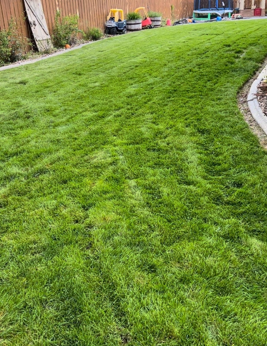 TruGreen Weed Control Casper, photo 2