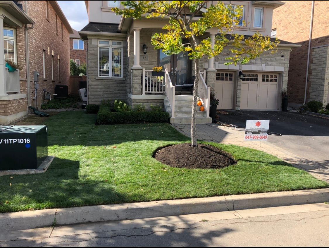 Certified Landscaping Inc., photo 4