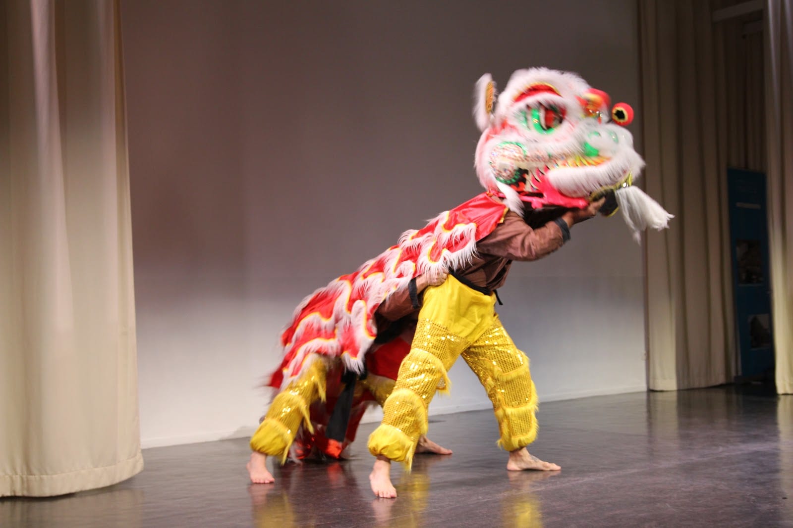 Vô Viêtnam Arts Martiaux Paris 12 13, photo 2