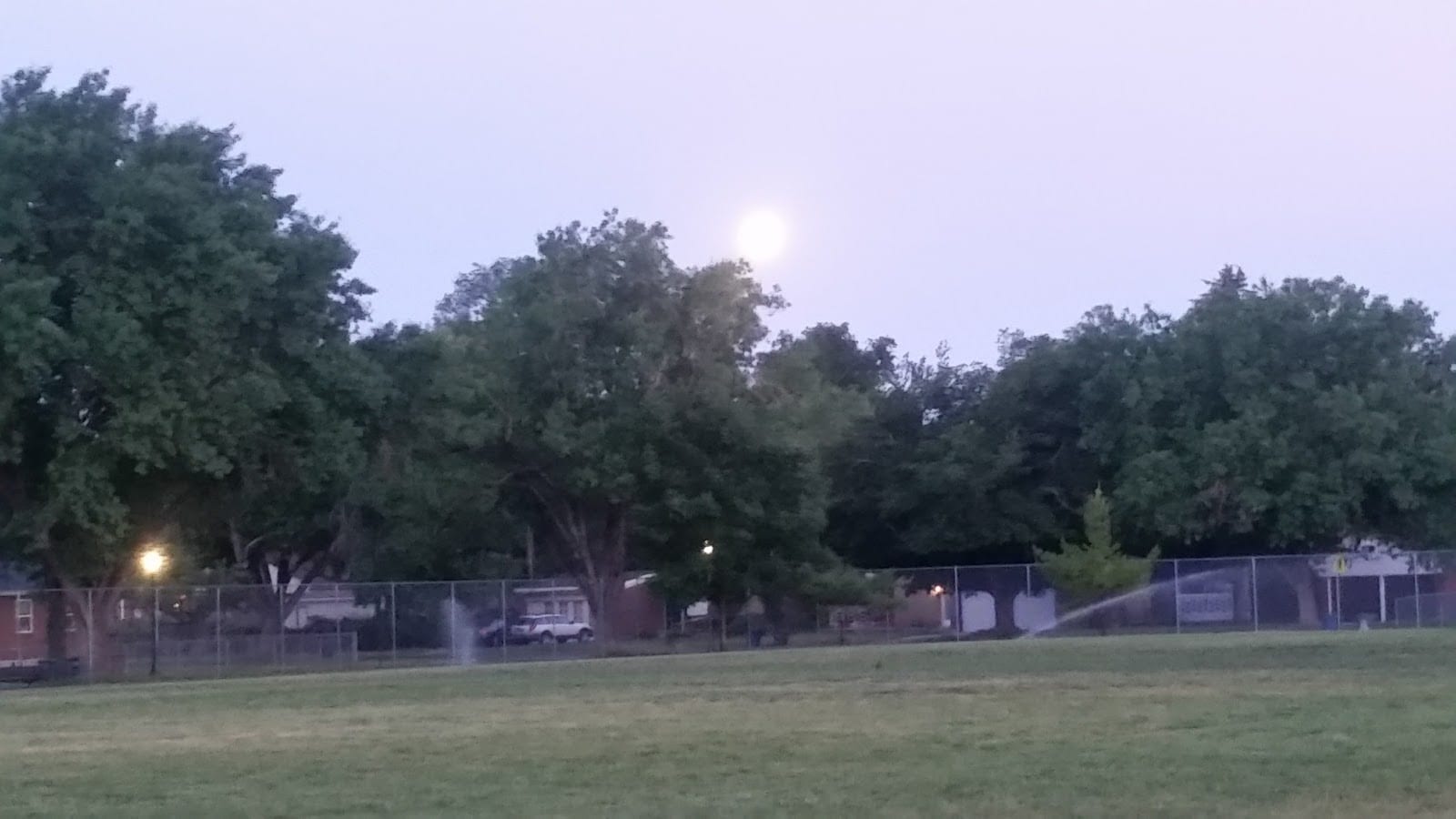 Rose Park Field
