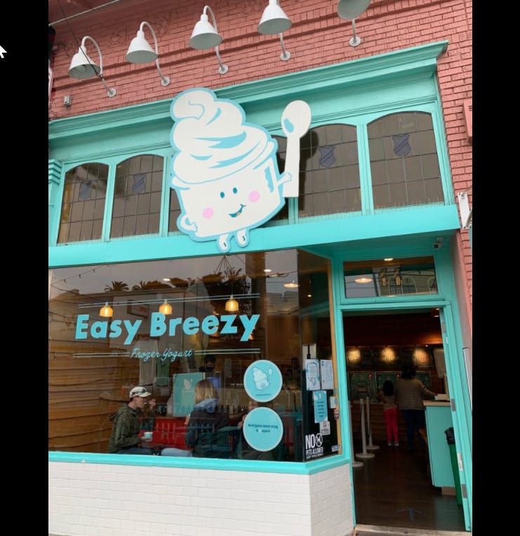 Easy Breezy Frozen Yogurt, photo 2