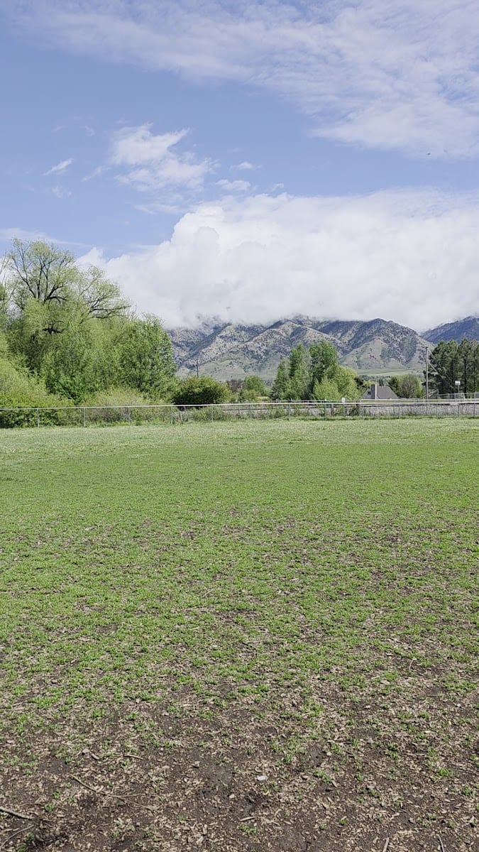 Dog Park, photo 2