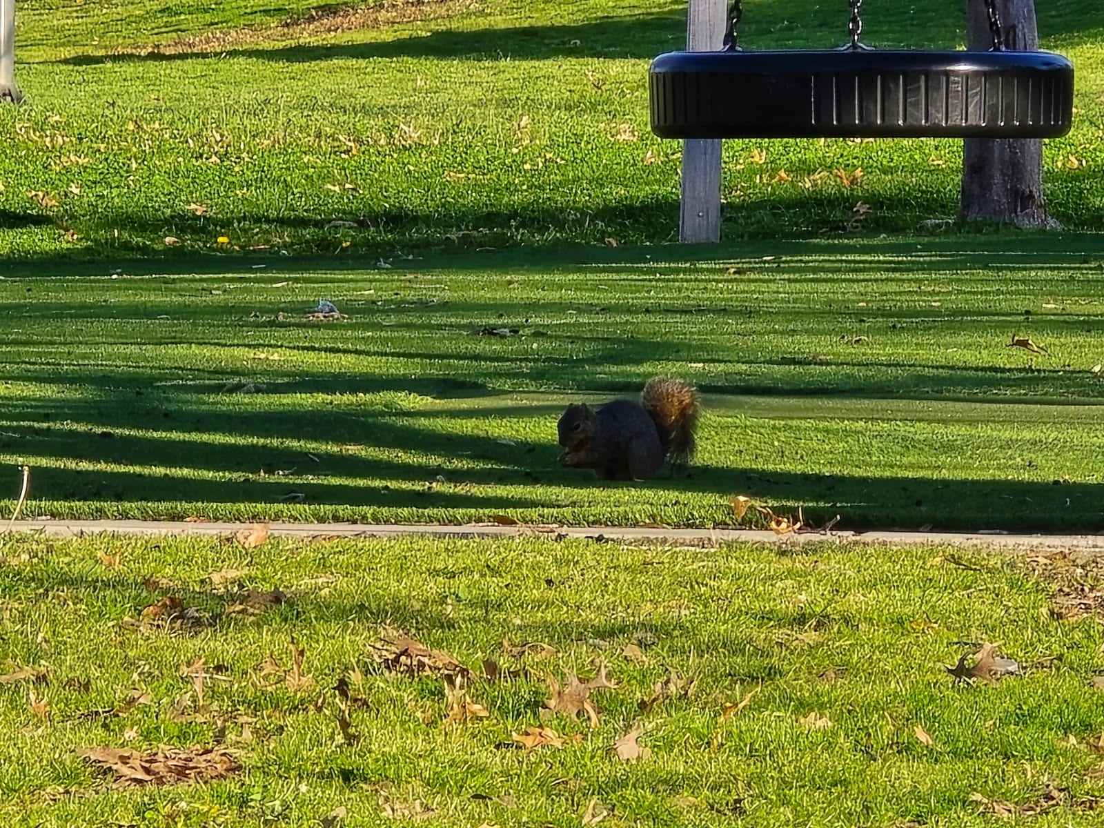 Martha Pointer Park, photo 3