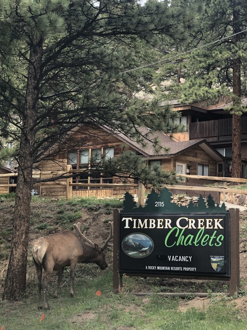 McGregor Mountain Lodge, photo 3