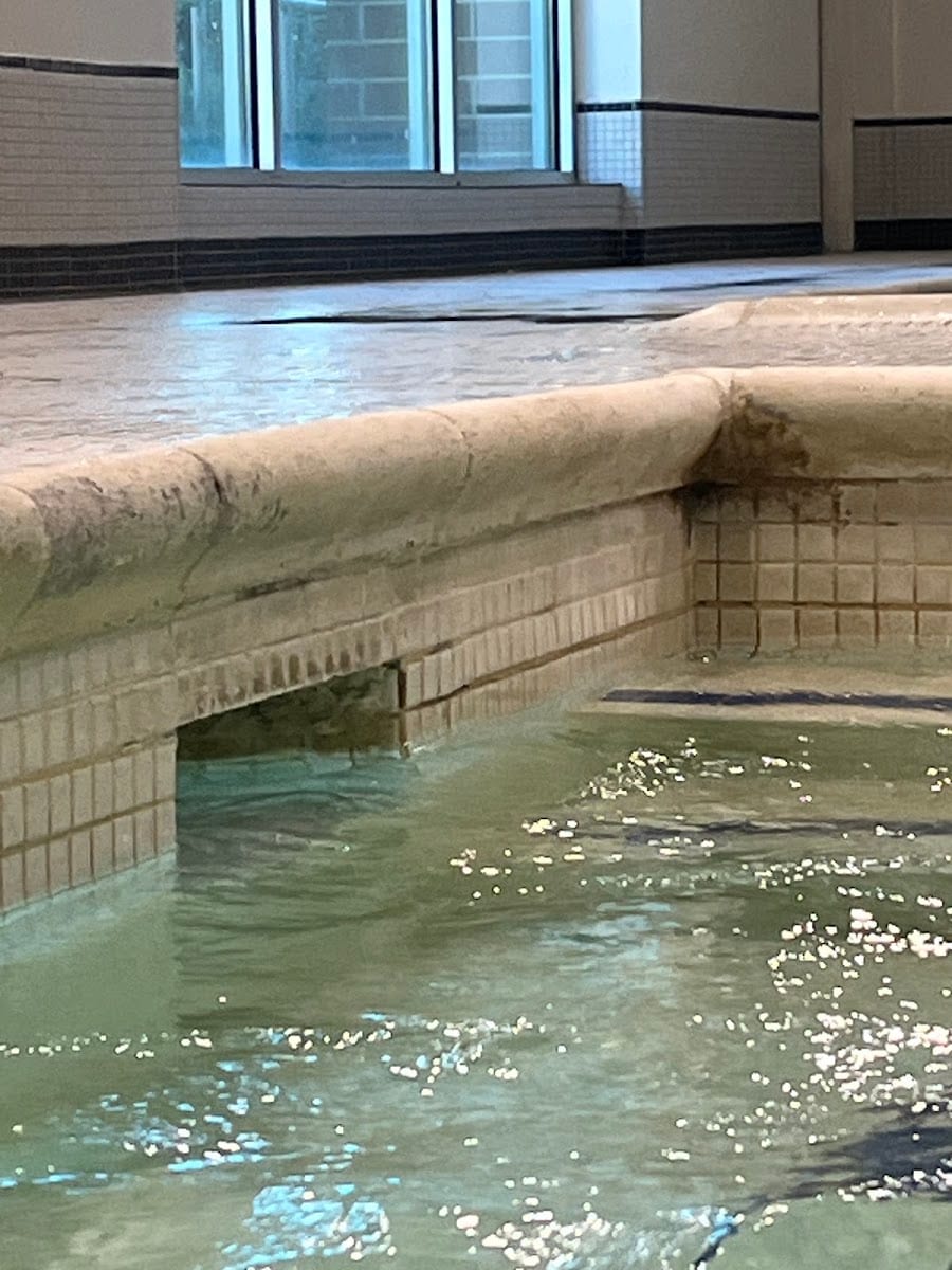 Lafitness, photo 3