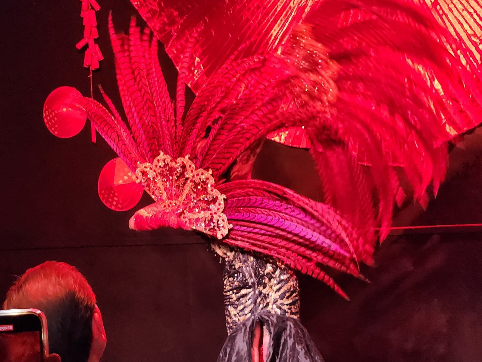 Showgirl Magic Museum, photo 3