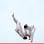 Red Force Club Jujitsu / Self Defense / Karate / Taekwondo