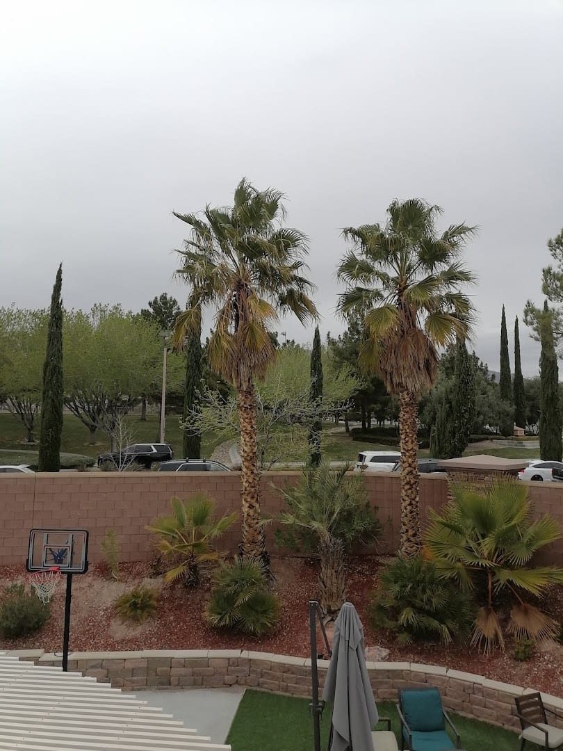 The Vistas Community Center, photo 2