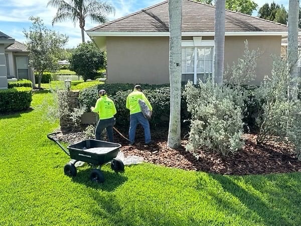 Green & Más Landscape Services