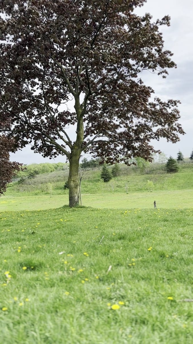 Havenbrook Park, photo 2