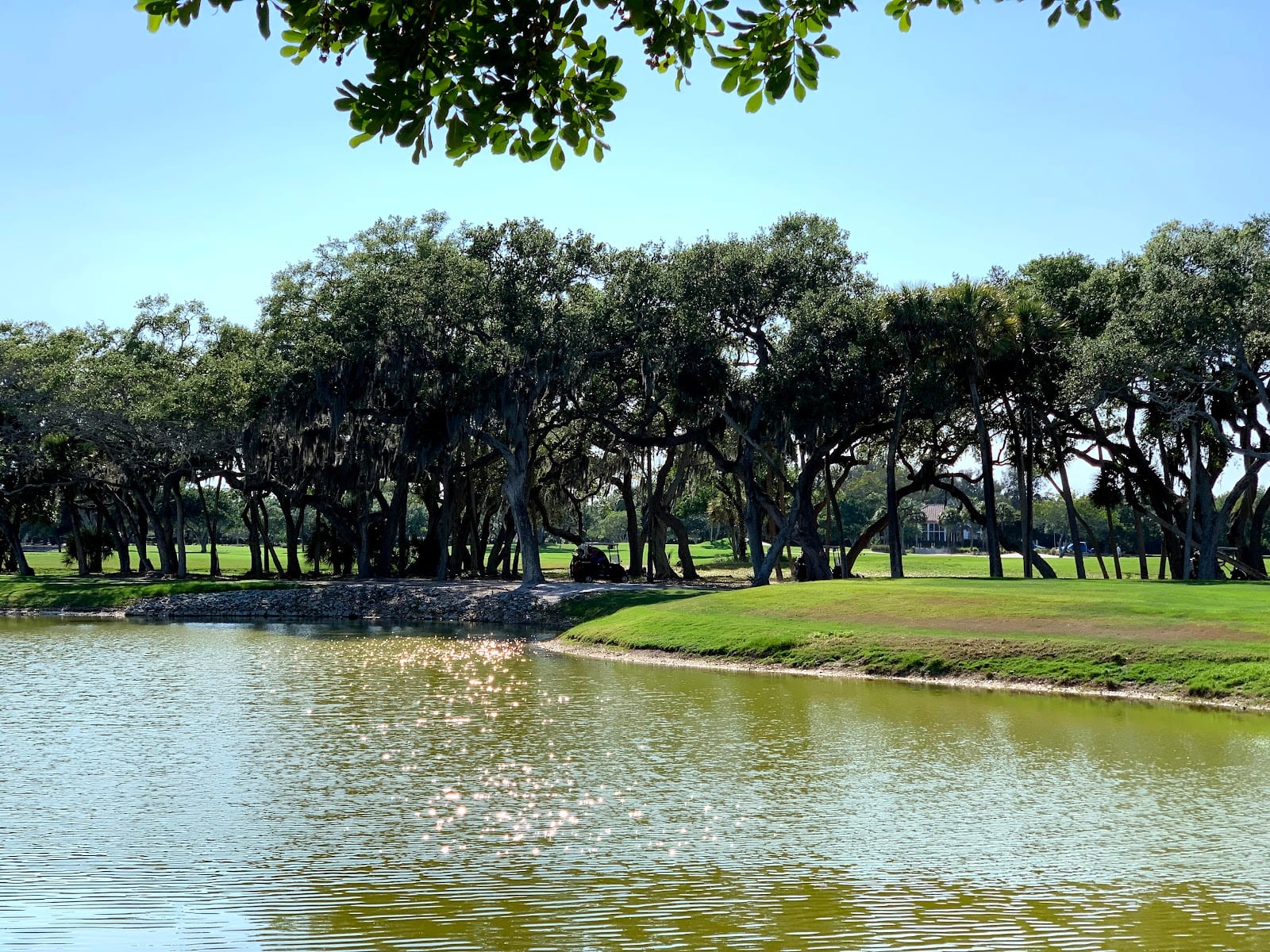 Longboat Key Club Moorings, photo 3
