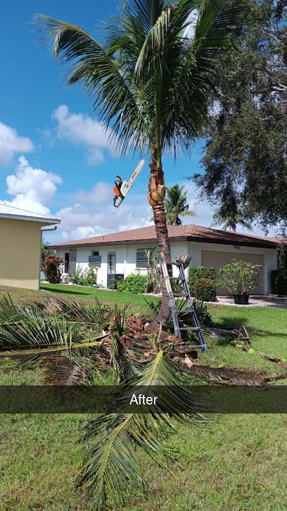 Alex's Full Service Landscaping