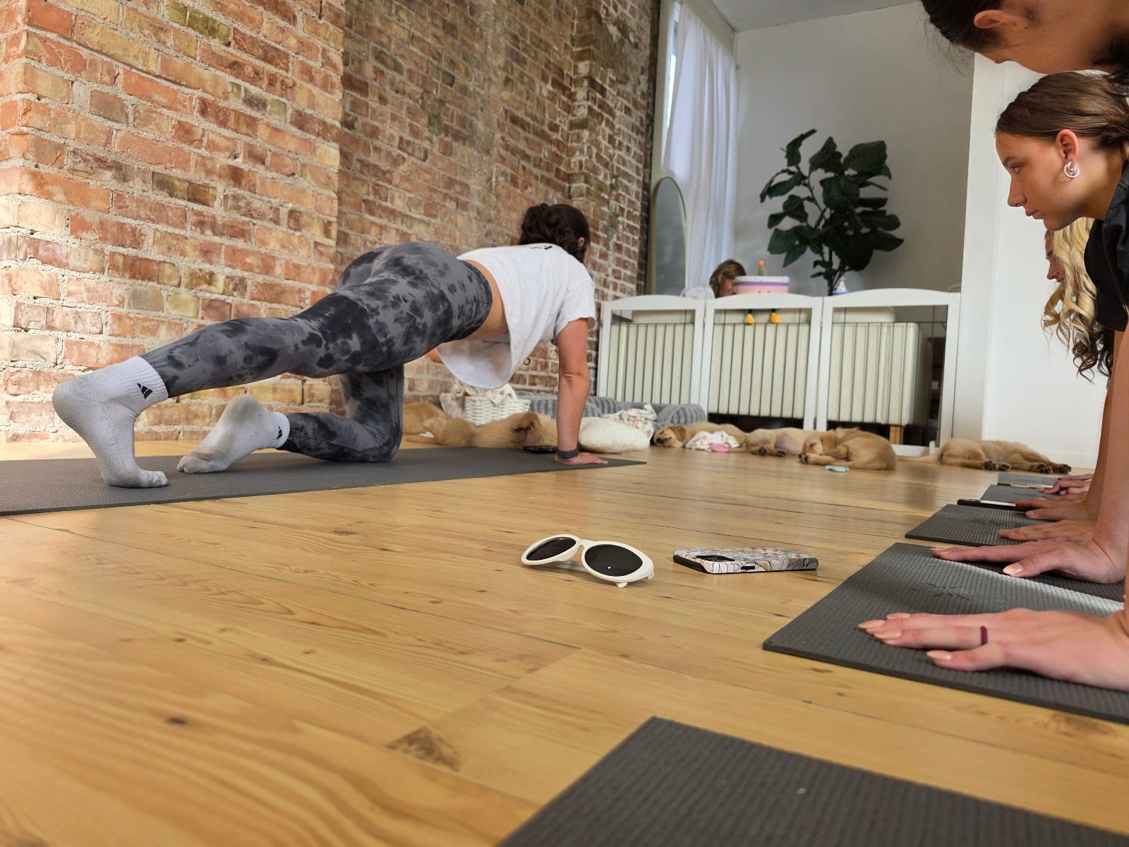 Puppy Yoga Salt Lake City (Puppies Yoga)