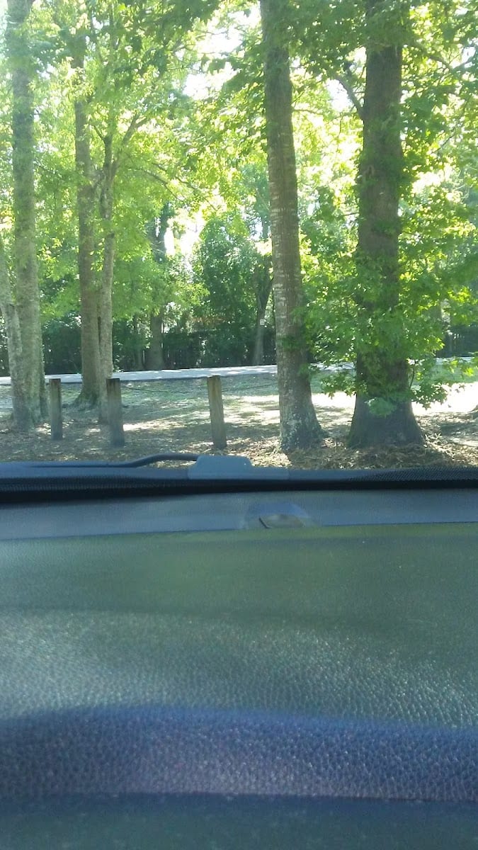 Lefler Park