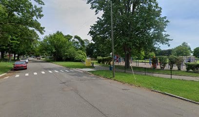 Dinosaur park