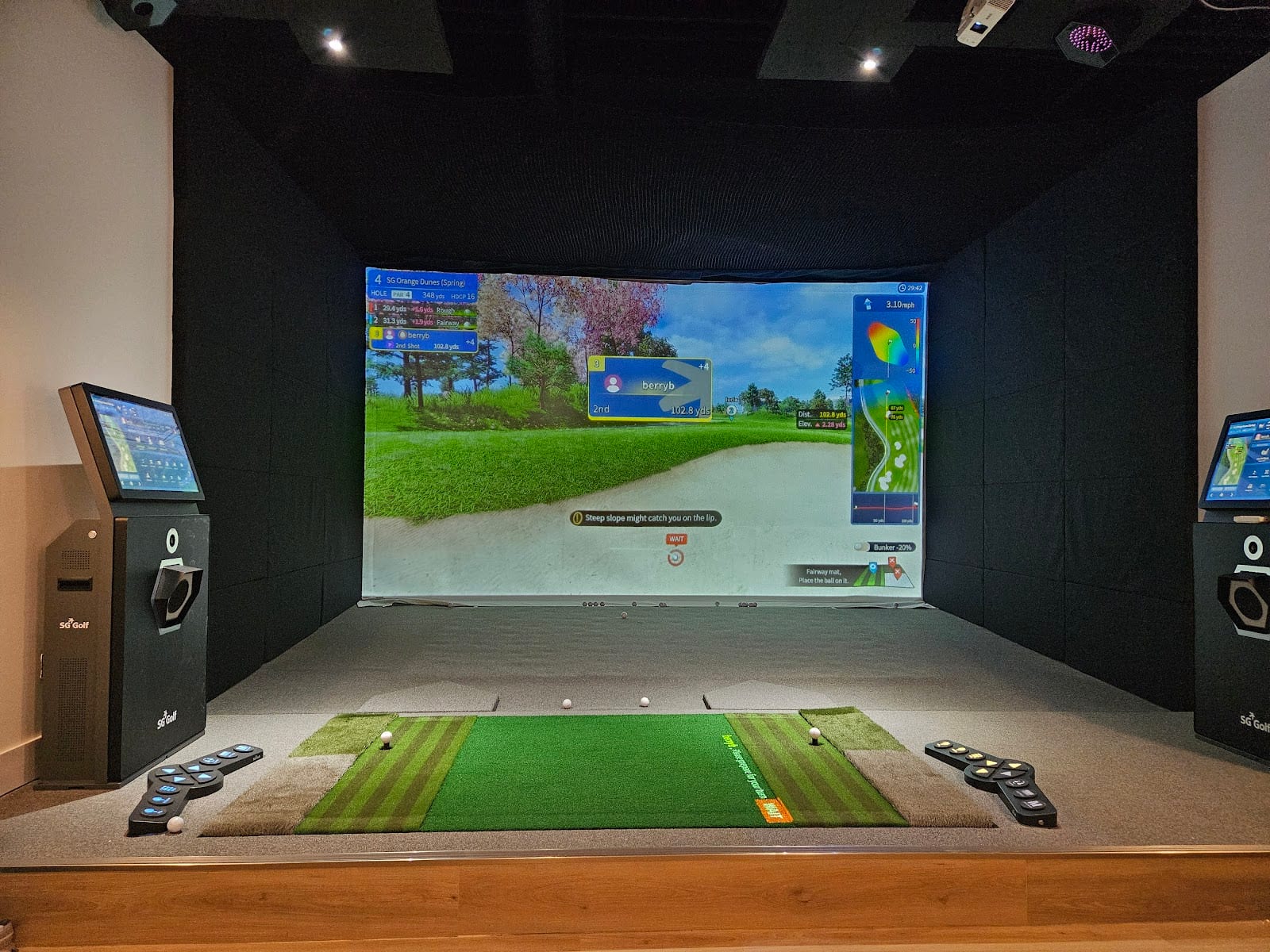 Gutta Golf Indoor Screen Simulator, photo 2