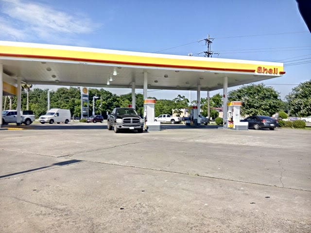 Shell, photo 4