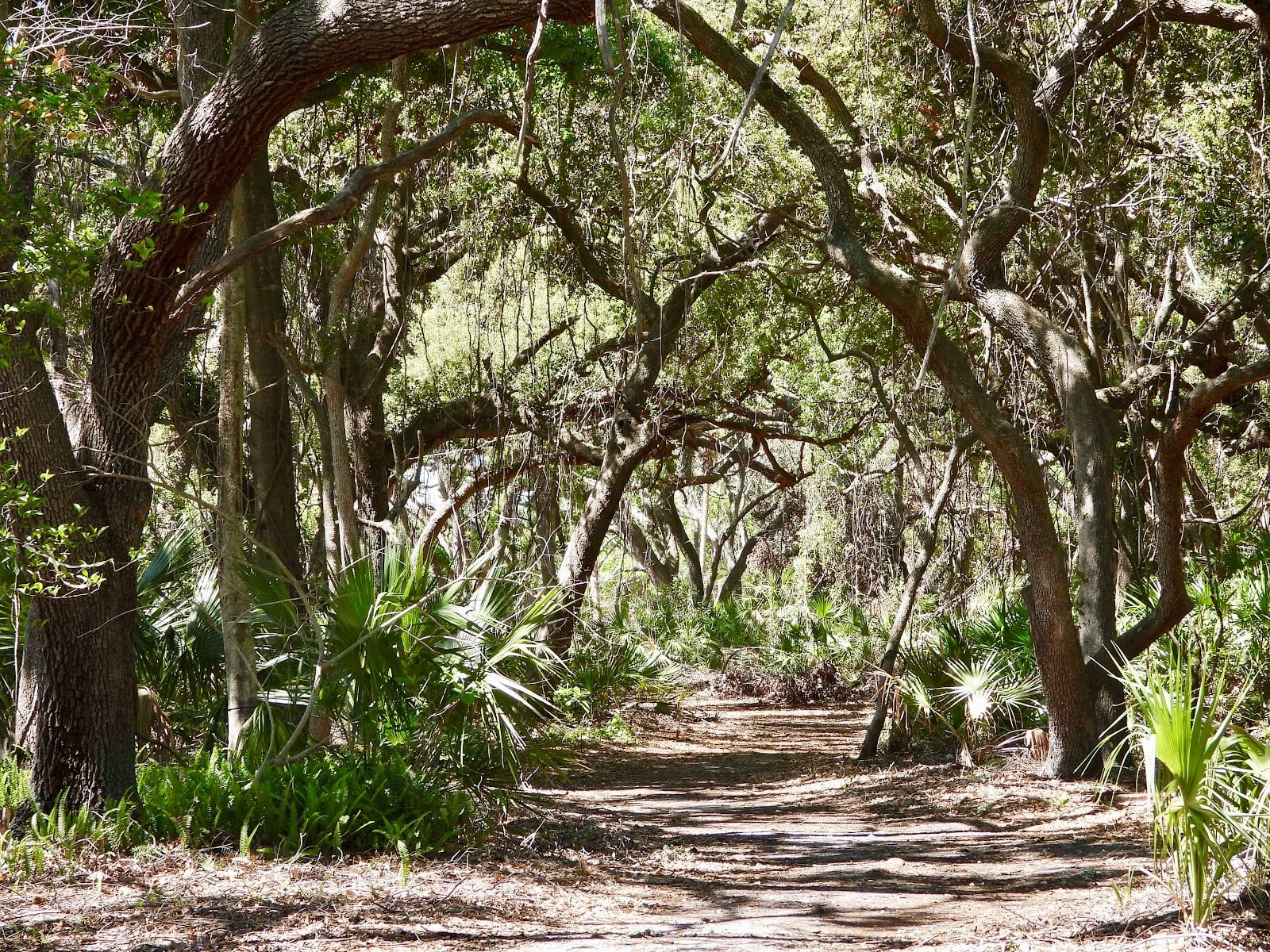 MacDill 48 Park
