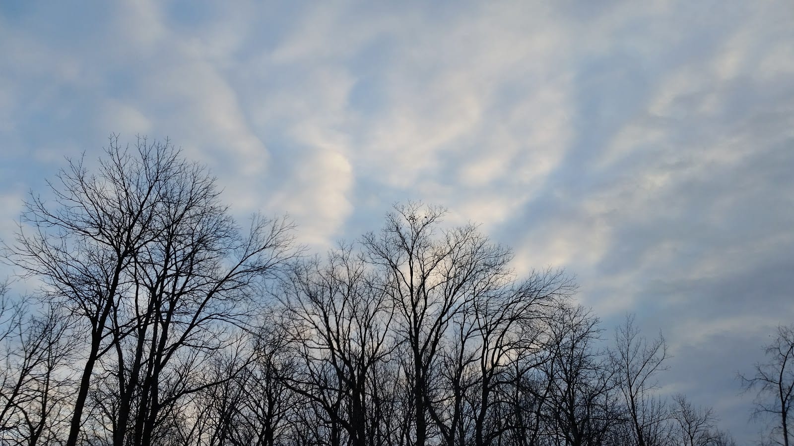 Walnut Grove Park, photo 2