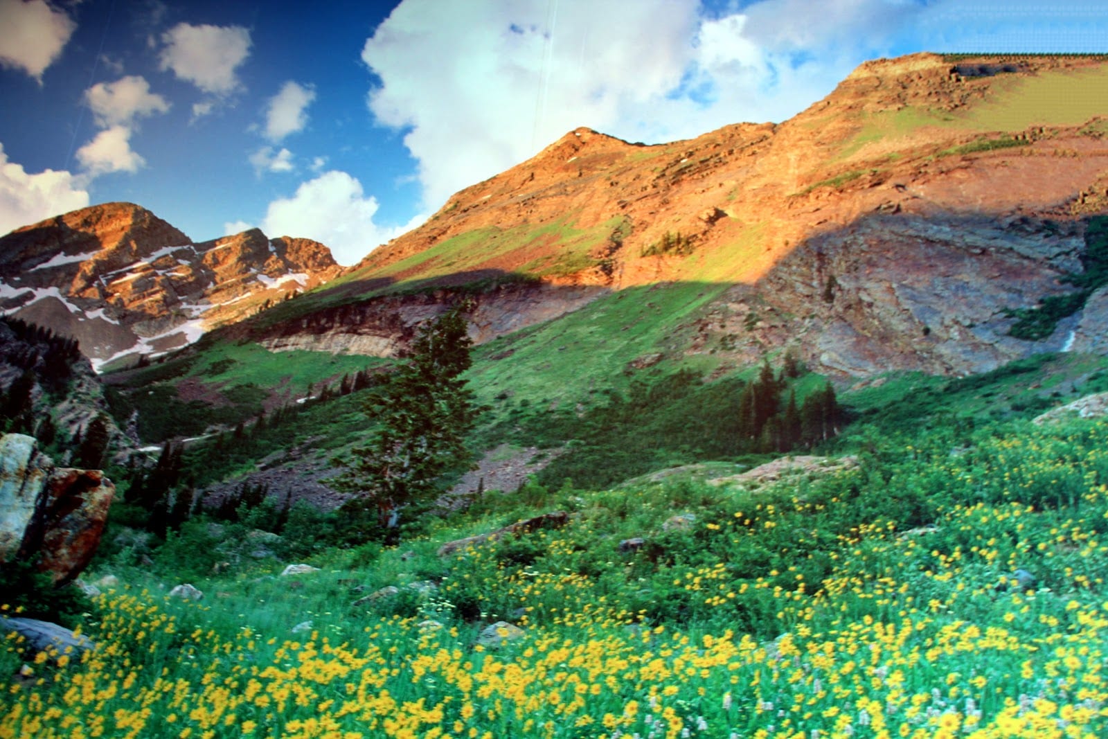 Natural History Museum of Utah