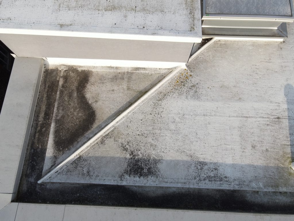 The Roof Inspector, photo 3