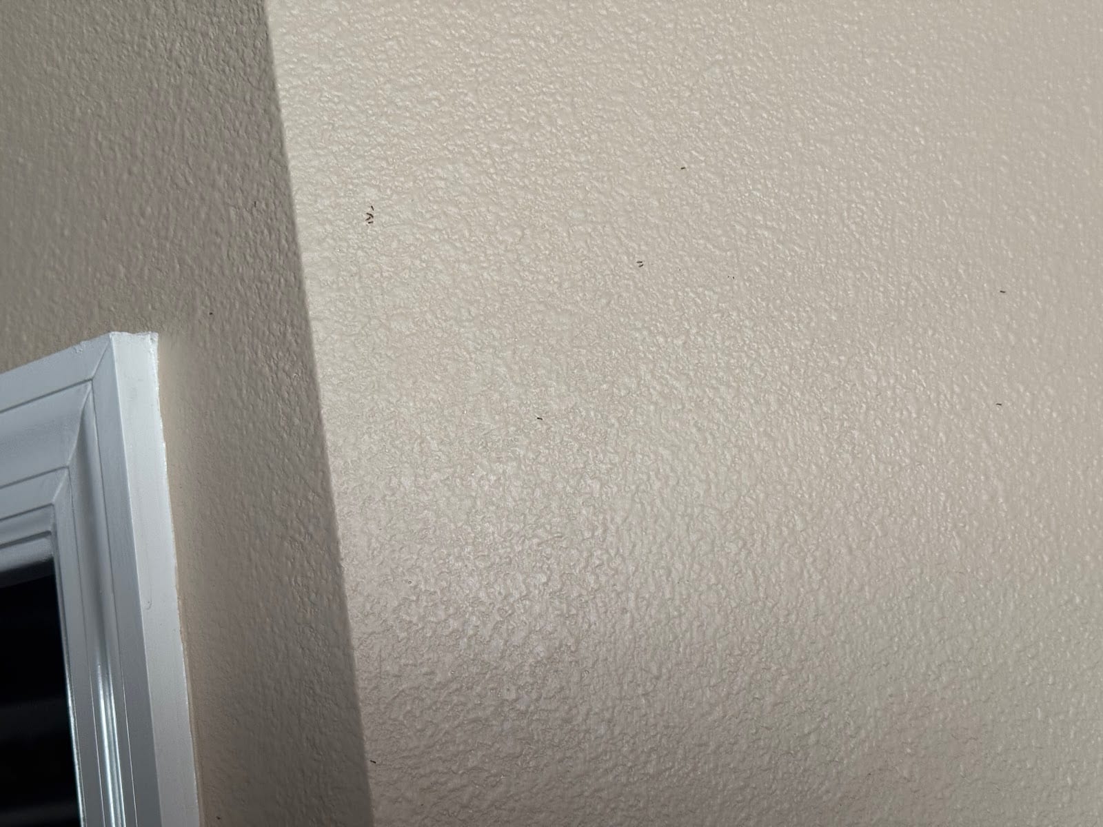 Al Harris Pest Control, photo 3