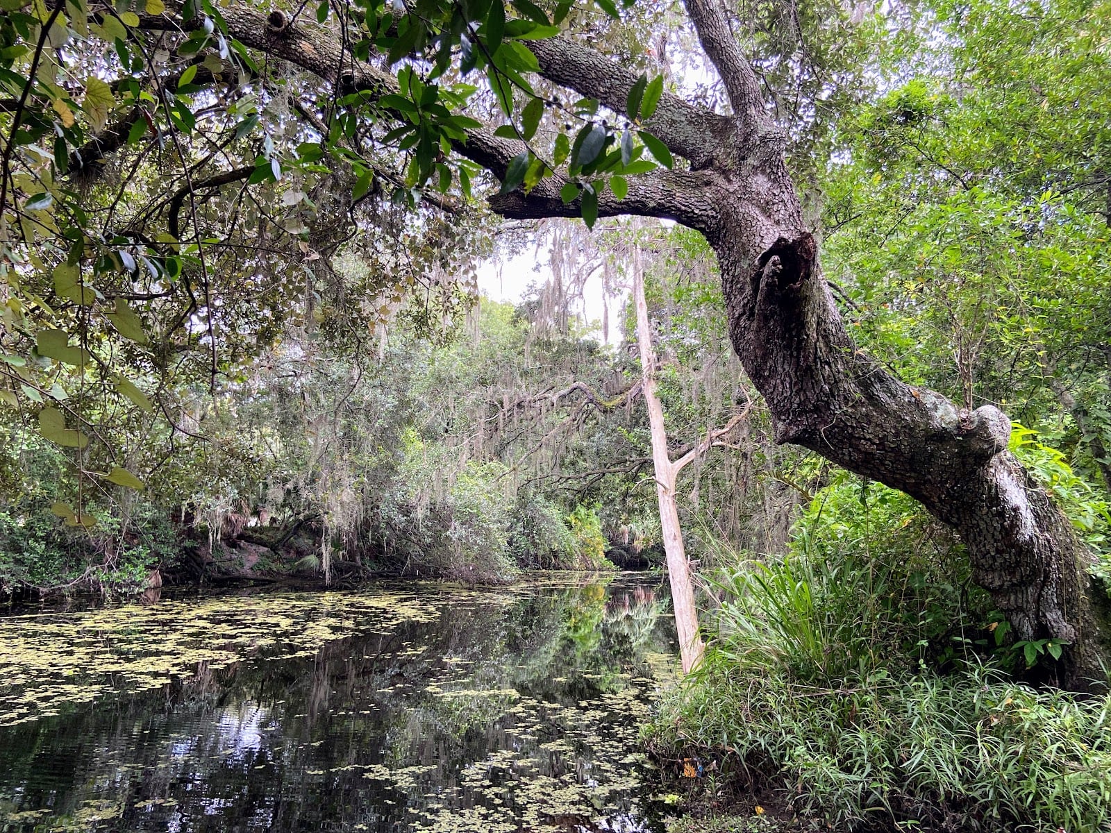 River Cove Park