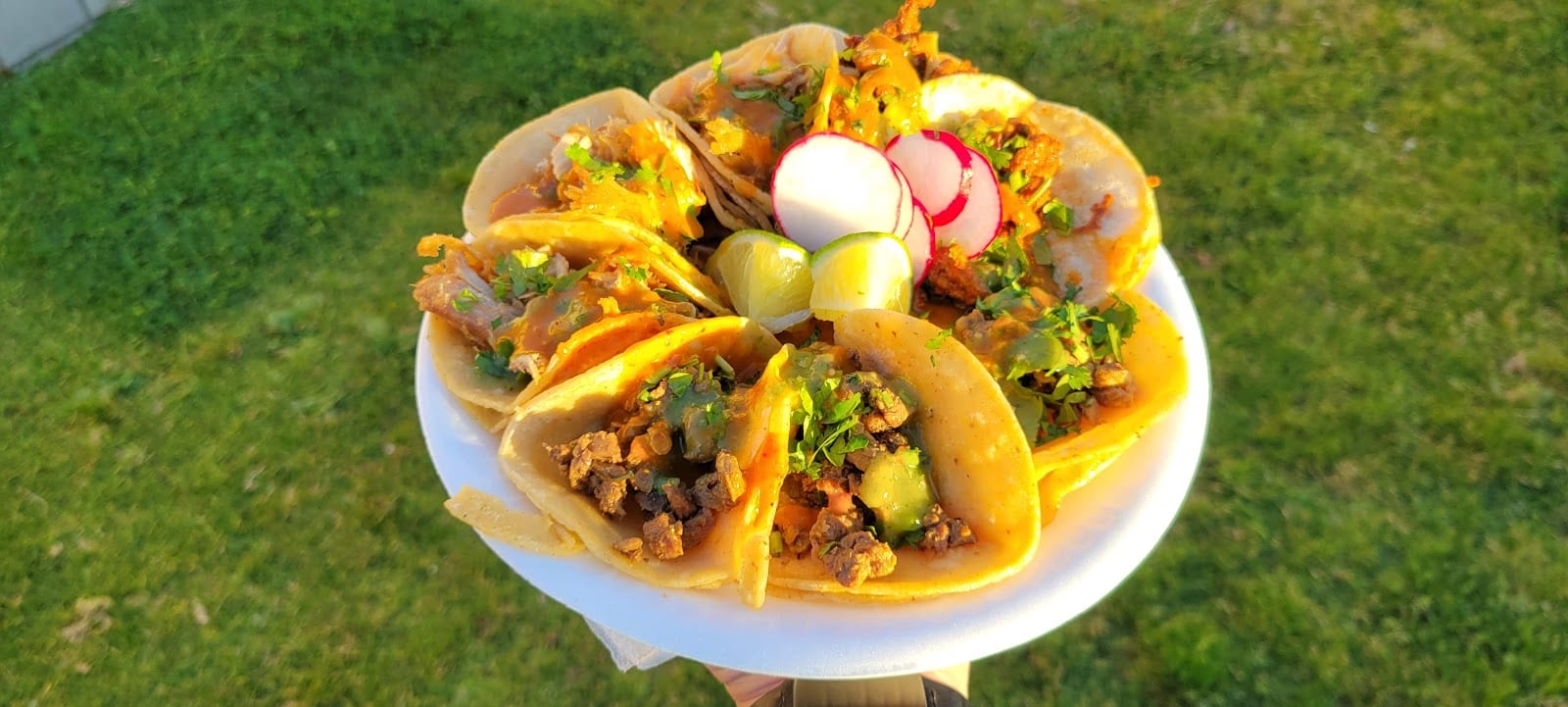 Andys taco truck