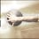 Cielo Sports & Family Chiropractic