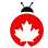 Pest Control Markham