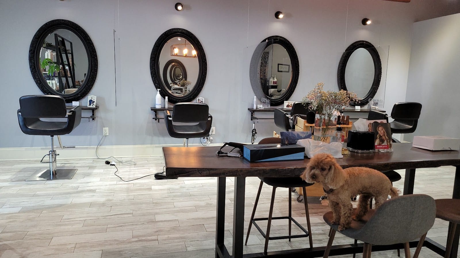 d' Artiste Hair Salon, photo 2