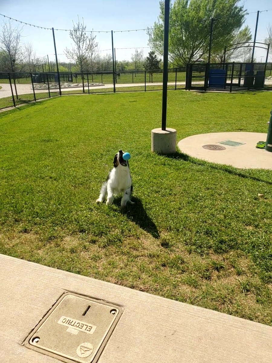 North Lakes Dog Park