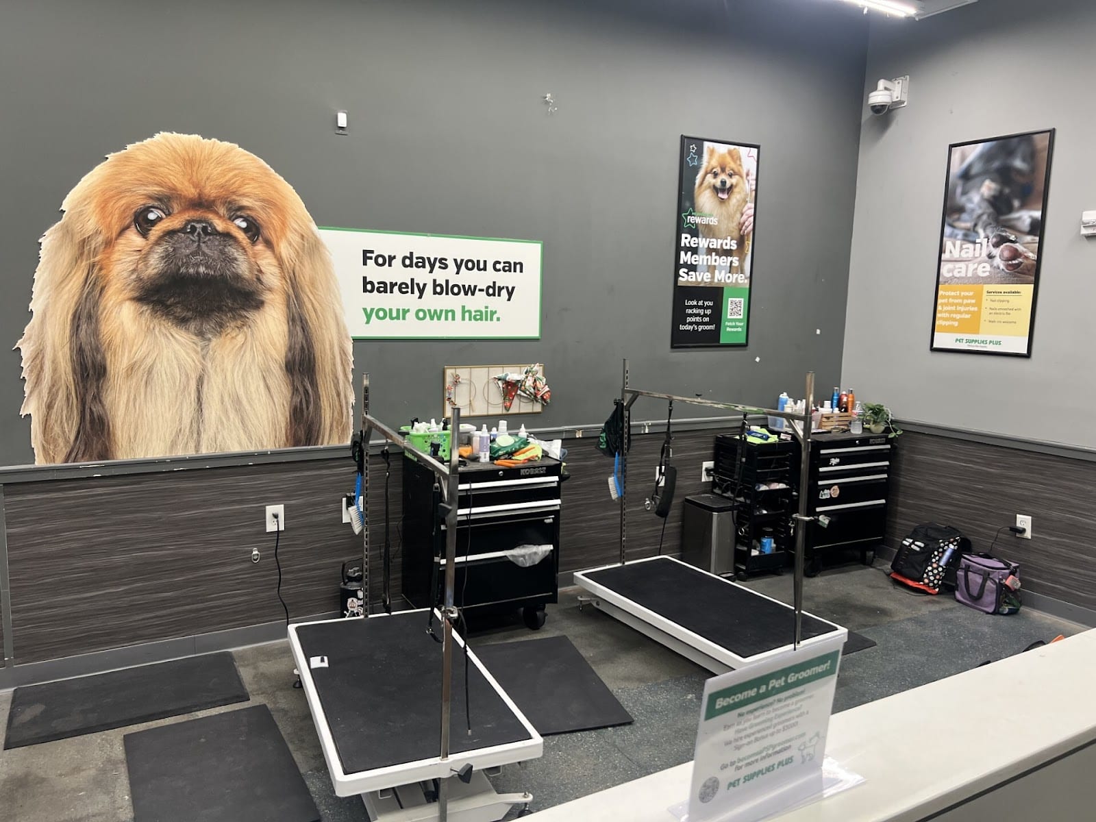 Pet Supplies Plus Madison Grooming