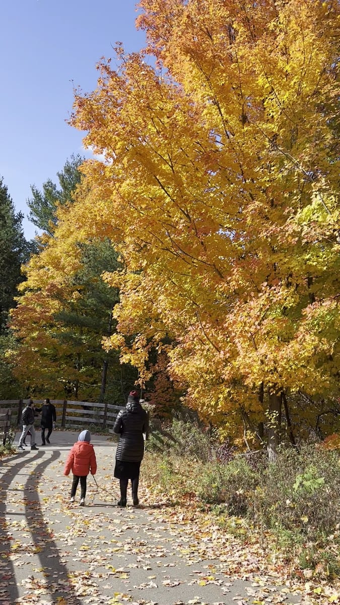 East Don Trail, photo 2