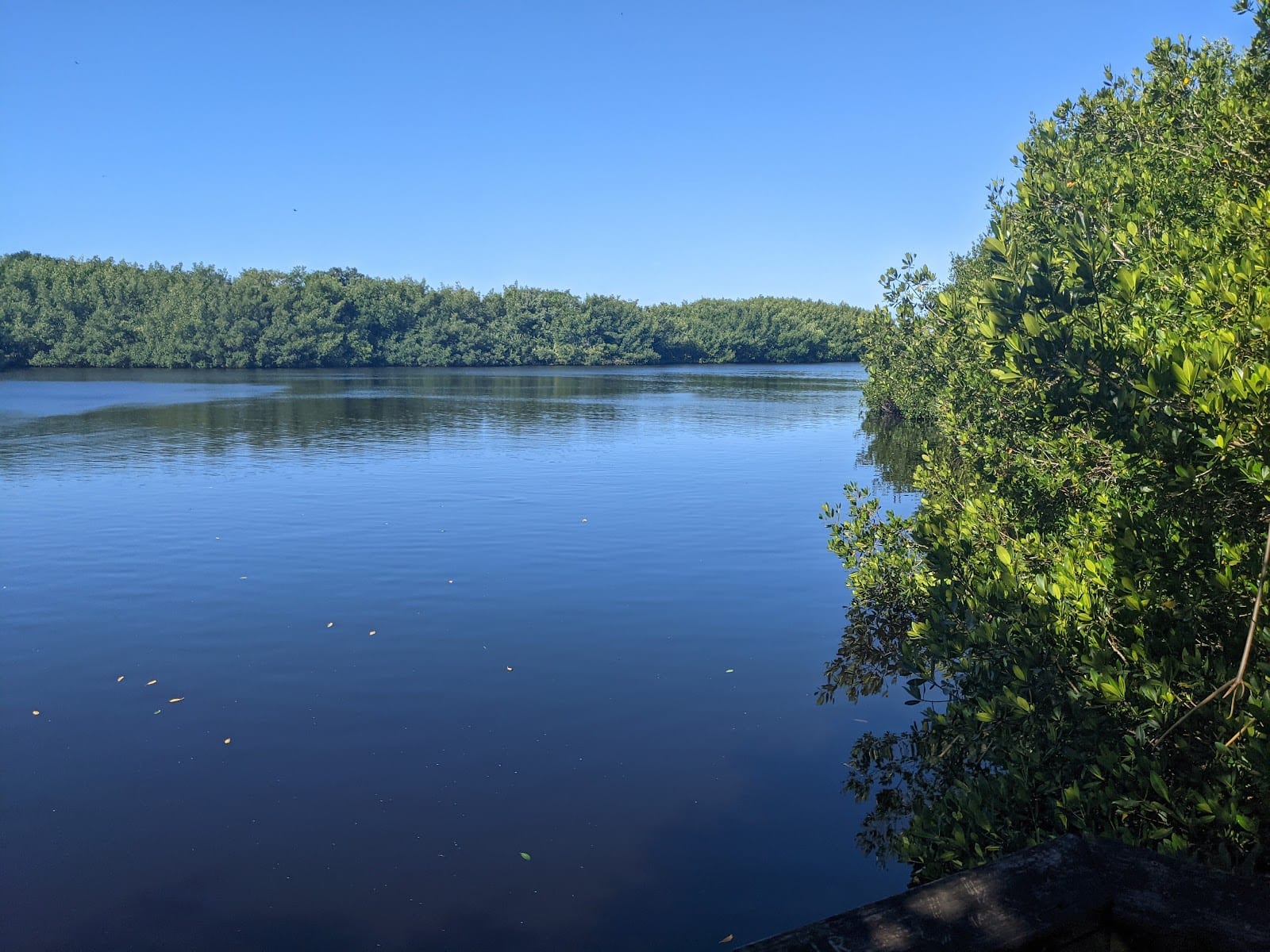 Charlotte Harbor Preserve Nature Walk