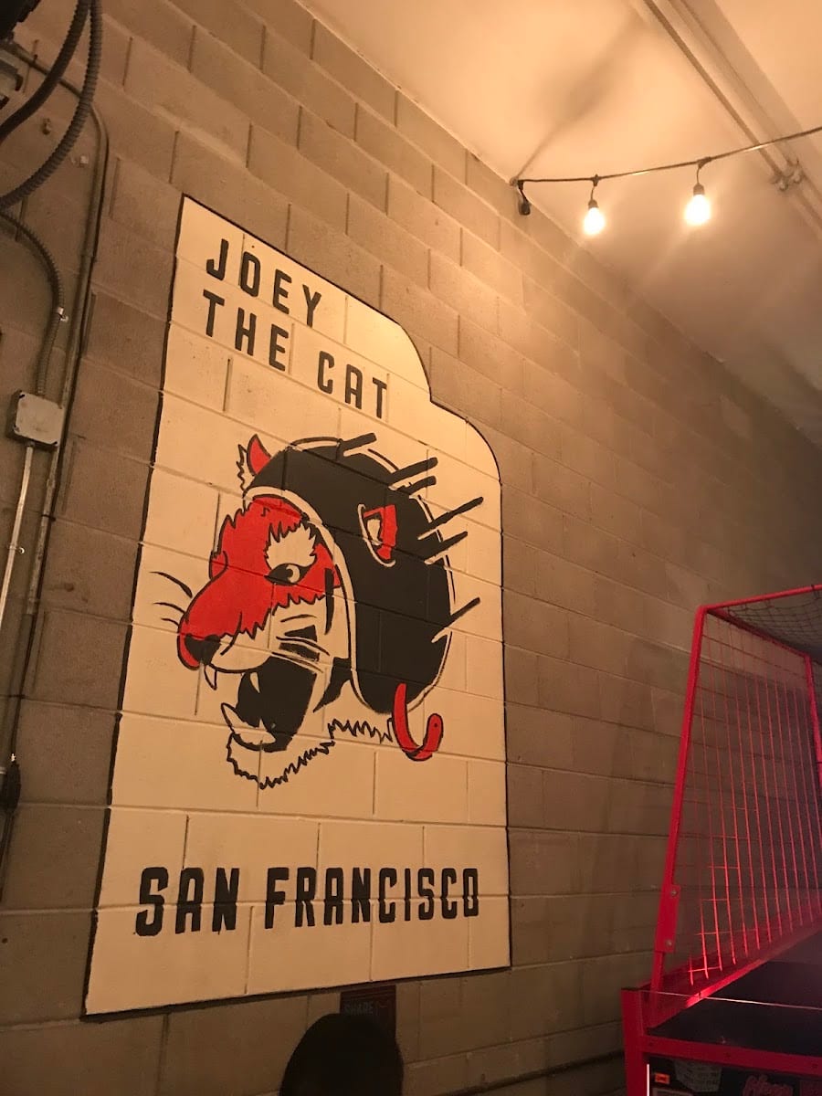 Joey the Cat's Arcade, photo 4