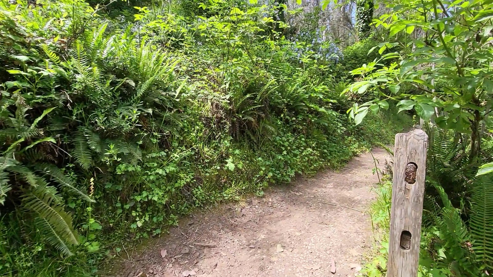 Interior Greenbelt, photo 2