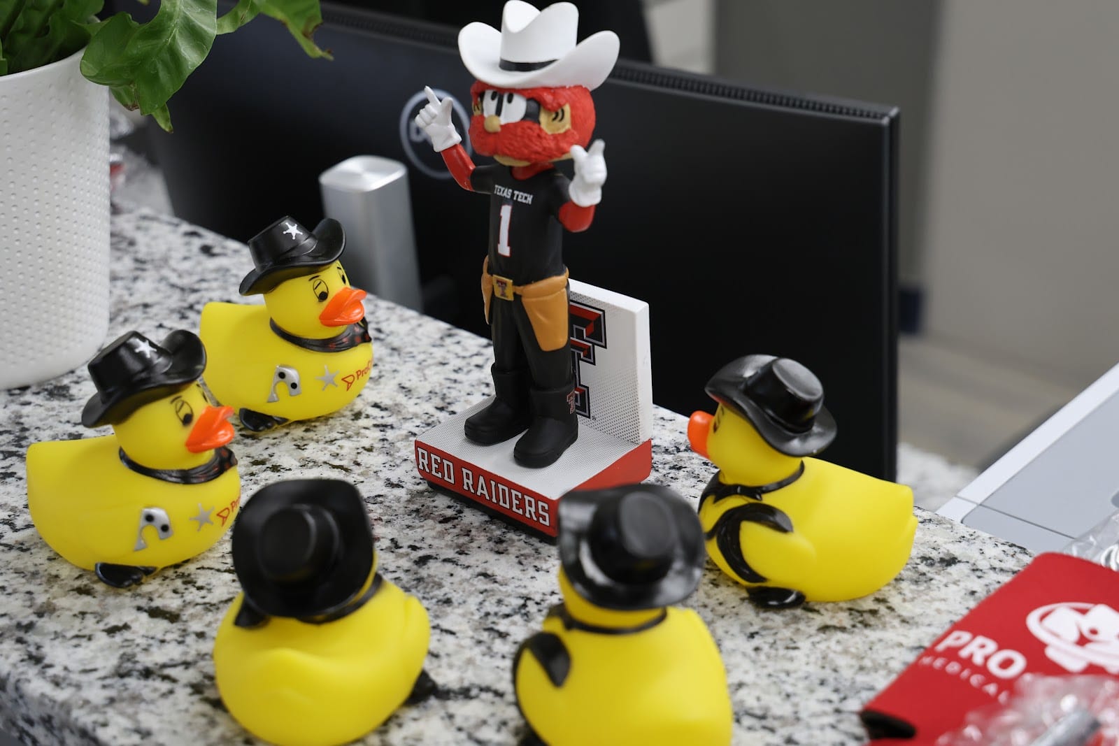 ProCare Injury Specialists - Lubbock, photo 3