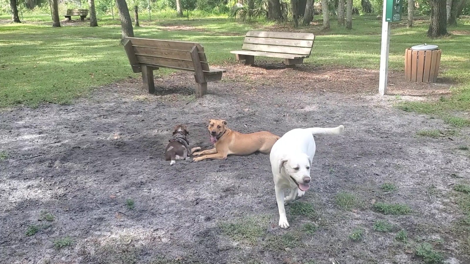Woodmere Dog Park, photo 2