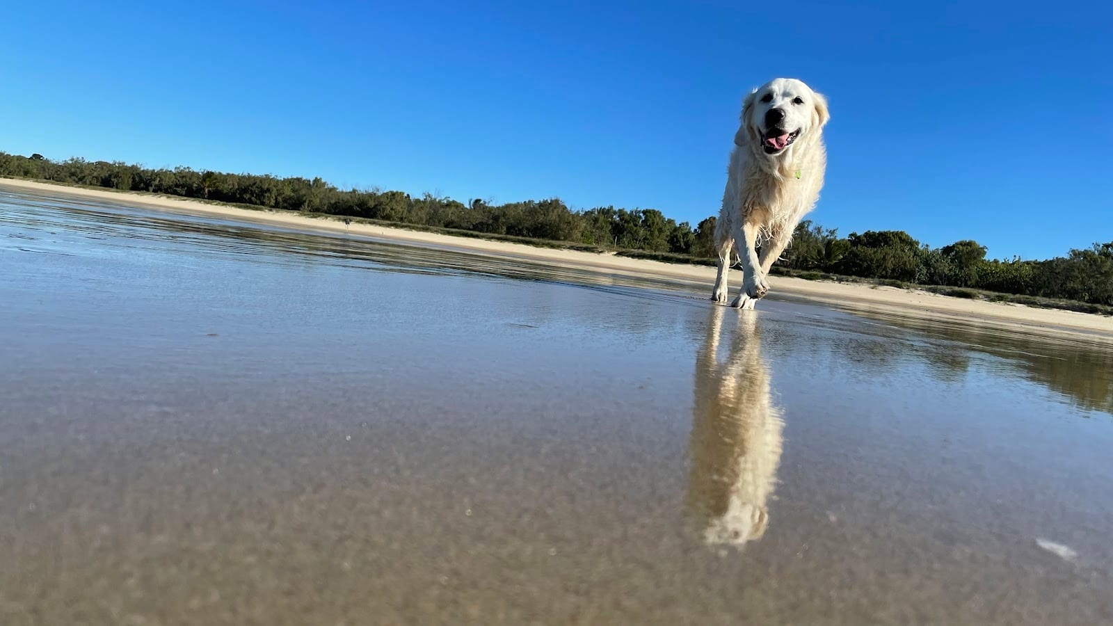 Seaview Park - Off Leash Dog Beach