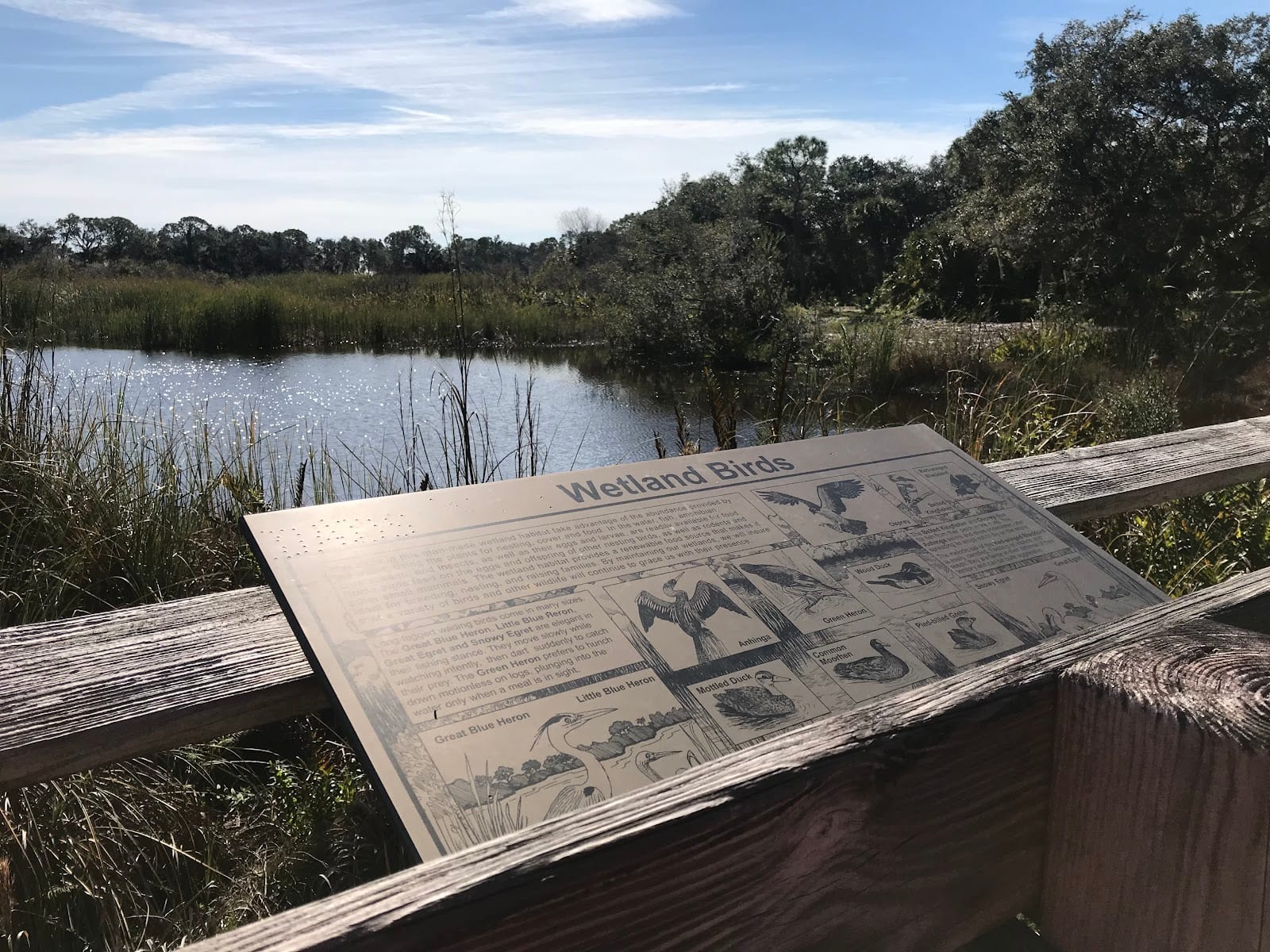 Stoneybrook Nature Trail, photo 2