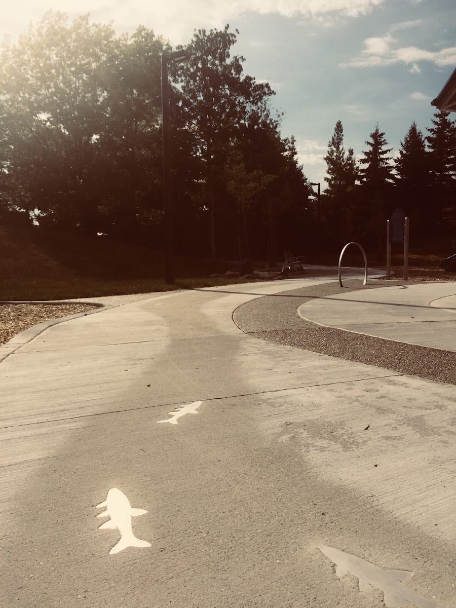 Little Don Park Playground, photo 2